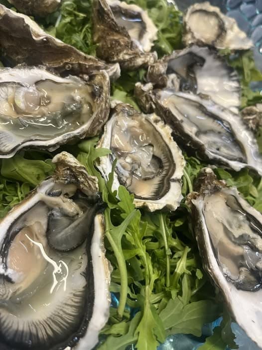 Ostriche fresche su letto di rucola — la materia prima del Sestante